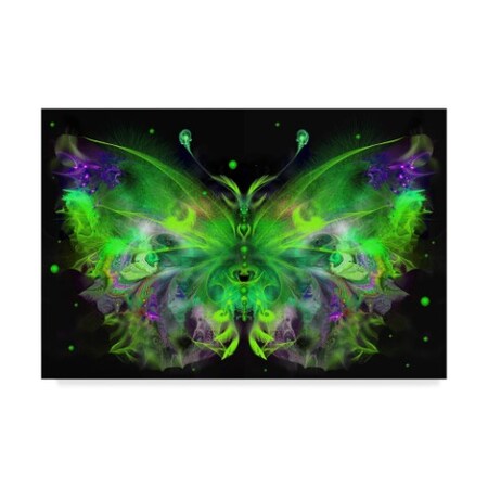 RUNA 'Butterfly 5' Canvas Art,30x47